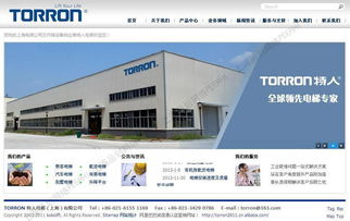 松江區(qū)域網站建設與軟件應用服務概述